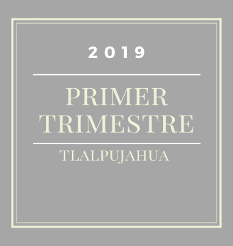 Primer Trimestre