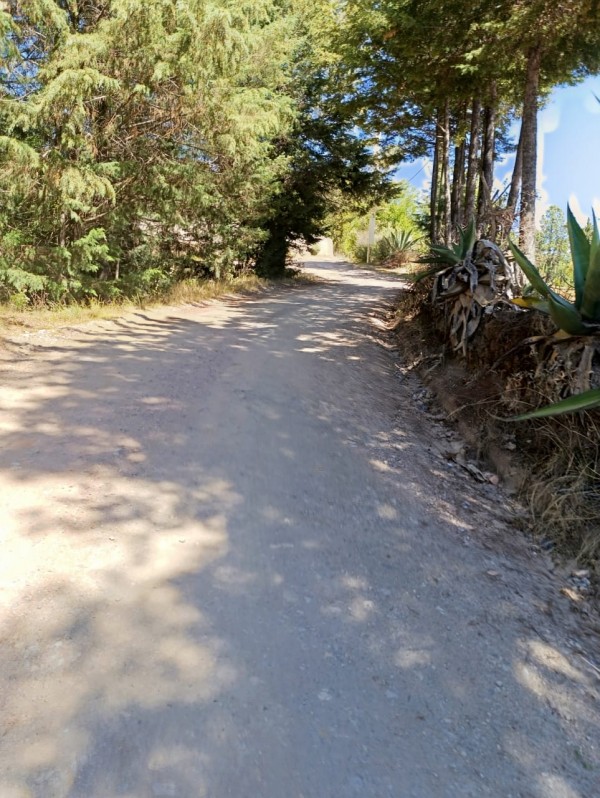 inicio